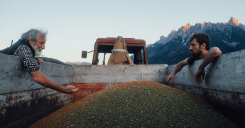 Thumbnail von "TiAN – Generation Farmfluencer"